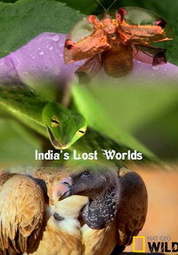 Потерянные миры Индии (1 сезон: 3 серии из 3) / India's Lost Worlds DUB