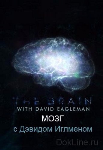 Мозг с Дэвидом Иглменом (1 сезон, 1-6 серии из 6) / BBC. The Brain with David Eagleman VO