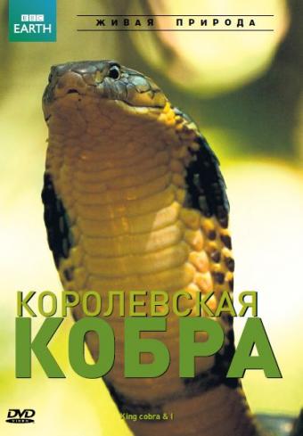 Королевская кобра / NAT GEO WILD. King Cobra DUB