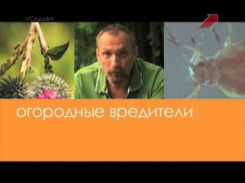Огородные вредители (1-33 выпуски)