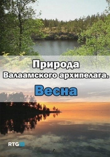 Природа Валаамского архипелага. Весна