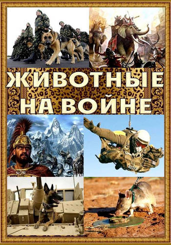 Животные на войне