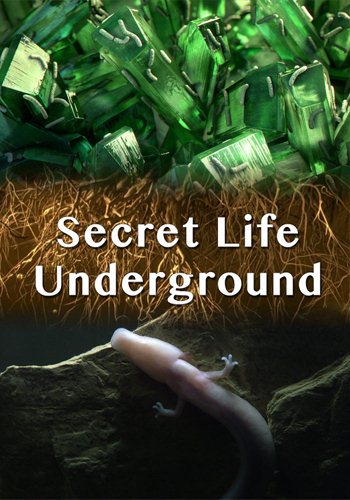 Тайны подземного мира / (1-2 серии из 2) / Secret Life Underground VO