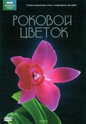 Мир природы. Роковой цветок / The Natural World. The fatal flower VO