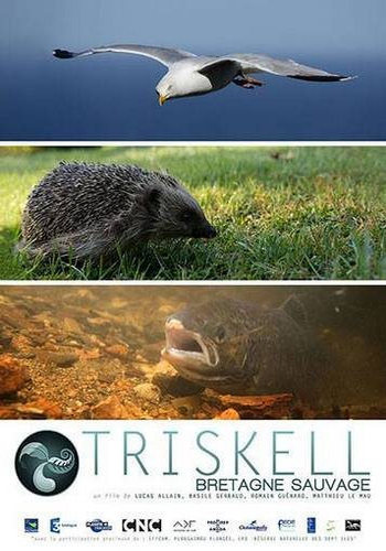 Трискелион. Природа Бретани / Triskell. Bretagne Sauvage VO