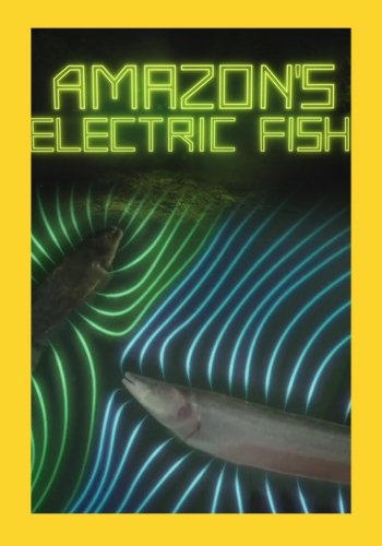 Амазонская электрическая рыба / Amazon's Electric Fish VO