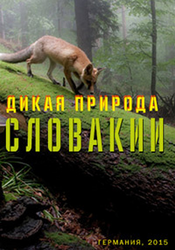 Дикая природа Словакии / Wild Slovakia VO