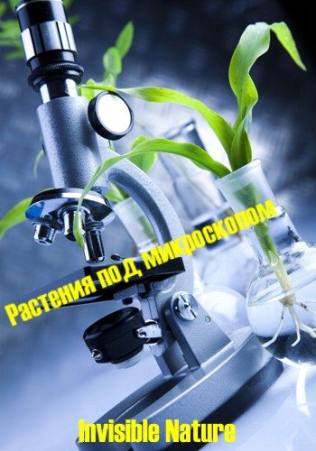 Растения под микроскопом / (1-3 серии из 3) / Invisible Nature VO