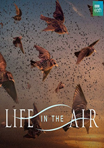 Жизнь в воздухе (1-3 серии из 3) / Life In The Air DVO
