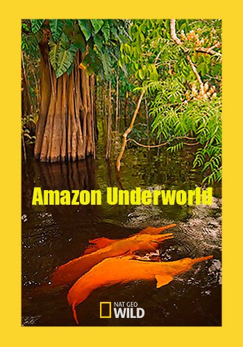 Скрытый мир Амазонки / Amazon Underworld VO