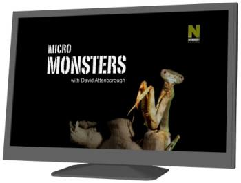 Микромонстры с Дэвидом Аттенборо (1-4 серии из 4) / Micro Monsters with David Attenborough