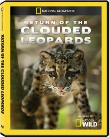 Возвращение дымчатых леопардов / NAT GEO WILD. Return of the Clouded Leopards VO