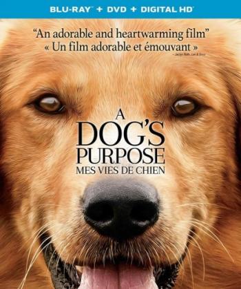 Собачья жизнь / A Dog's Purpose DUB