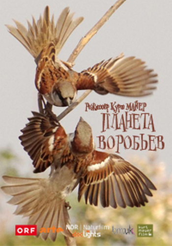 Планета воробьев / Sparrow Planet DUB