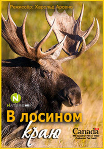 В лосином краю / In the Land of the Moose DUB