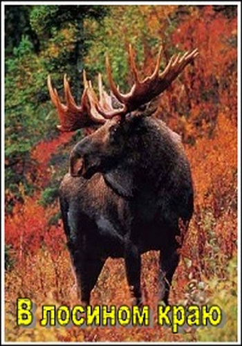 В лосином краю / In the Land of the Moose DUB