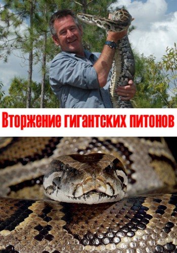 Вторжение гигантских питонов / Invasion Of The Giant Pythons: Florida With Nigel Marven VO