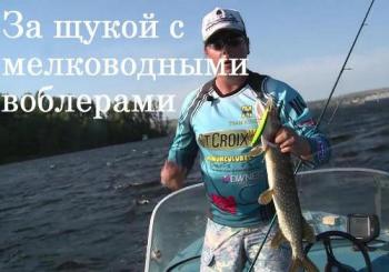 За щукой с мелководными воблерами