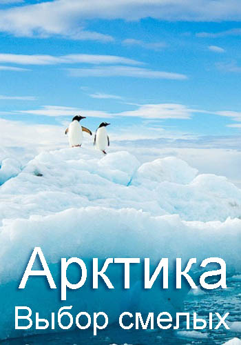 Арктика. Выбор смелых