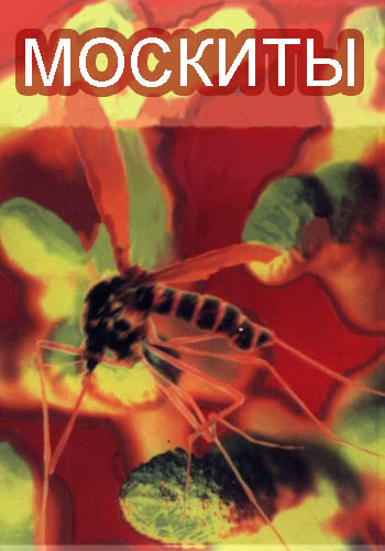 Москиты / Mosquito DVO