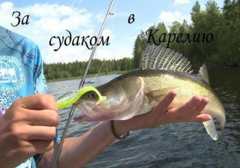 За судаком в Карелию
