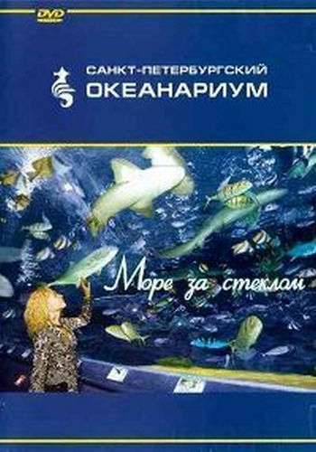Санкт-Петербургский океанариум. Море за стеклом