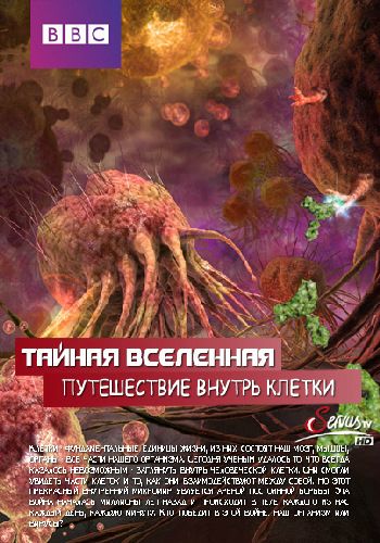 Тайная Вселенная. Путешествие внутрь клетки / Our Secret Universe: The Hidden Life of the Cell DUB + VO