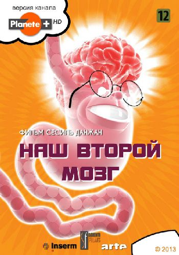Наш второй мозг / Le ventre notre deuxieme cerveau DVO