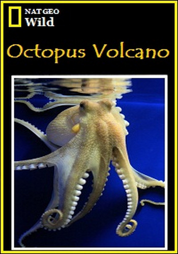 Вулкан осьминогов / Octopus Volcano 2xDUB