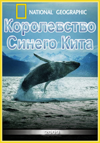 Королевство Синего Кита / Kingdom of the Blue Whale VO