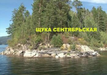 Щука сентябрьская (3 серии из 3) /
