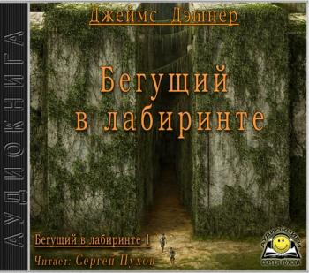 Бегущий в лабиринте 1. Бегущий в лабиринте