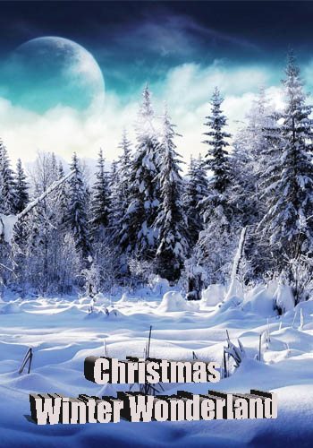 Страна зимнего волшебства / Christmas Winter Wonderland VO