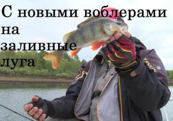 С новыми воблерами на заливные луга