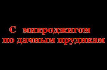 С микроджигом по дачным прудикам