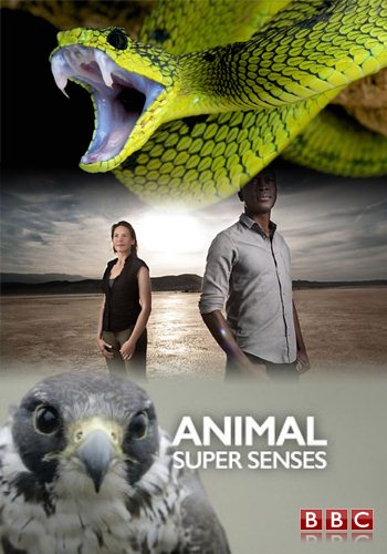 Сверхчувства животных / (1-3 серии из 3) / Animal Super Senses VO