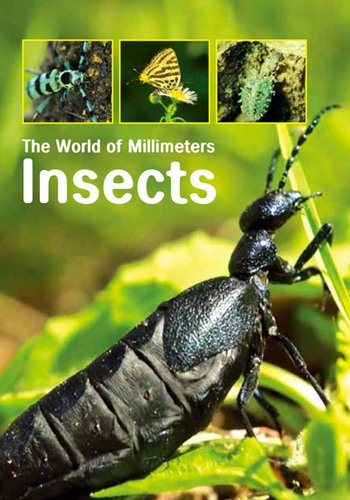 Насекомые или миллиметровый мир (1-2 серии из 2) / Insects. The World of Millimeters VO