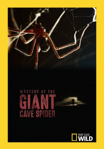 Загадка гигантского пещерного паука / Mystery of the Giant Cave Spider VO