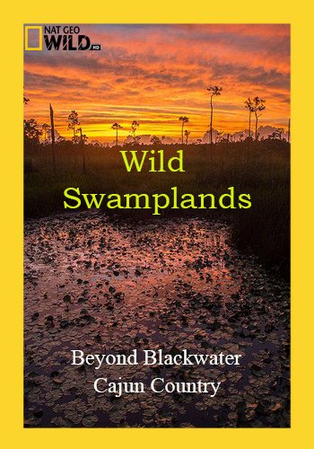 Дикие болота (1-2 серии из 2) / NAT GEO WILD. Wild Swamplands VO