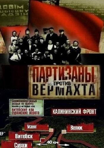 Партизаны против Вермахта (1-8 серии из 8)