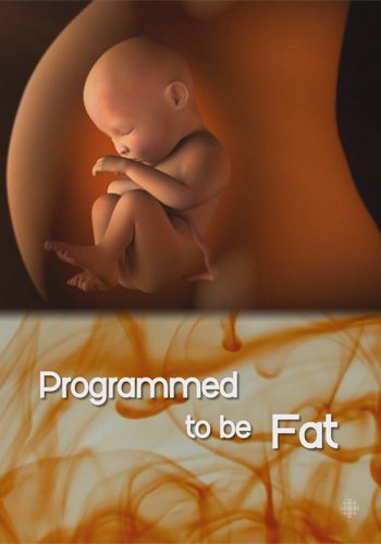 Природа вещей: Курс на ожирение? / The Nature of Things: Programmed to Be Fat? DVO