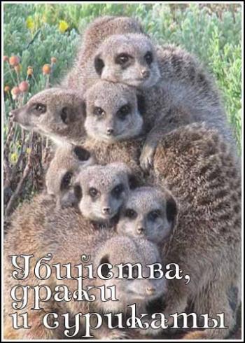 Убийства, драки и сурикаты / National Geographic. Murder, Mayhem Meerkats VO