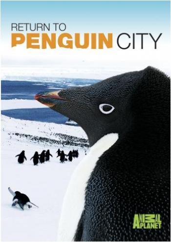 Возвращение в город пингвинов / Return to Penguin City DVO