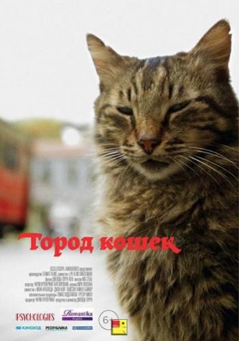 Город кошек / Кот / Kedi AVO