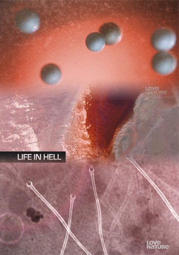Выживание в аду (1-4 серии из 4) / Life in Hell DVO