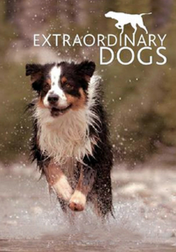 Необычные собаки / Extraordinary Dogs VO