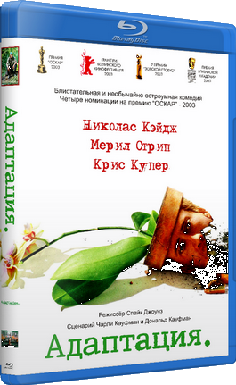 Адаптация / Adaptation. DVO+MVO