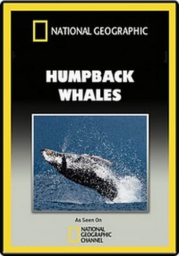Горбатые киты. Жизнь клана / Humpback Whales VO
