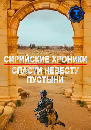 Сирийские хроники. Спасти невесту пустыни