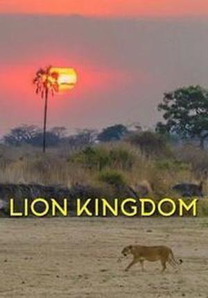 Львиное королевство (1-3 серии из 3) / NAT GEO WIND. Lion Kingdom DUB